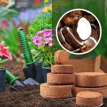 Organic Coconut Coir round disc for Plants