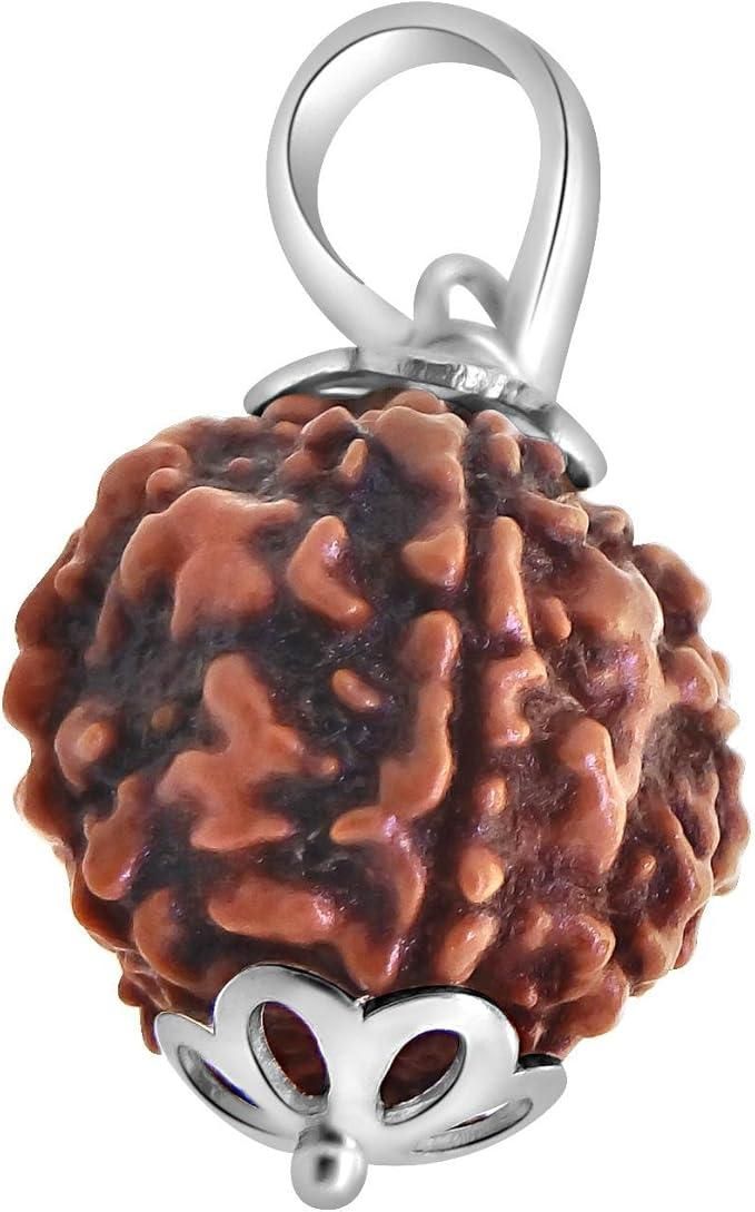 5 Mukhi Rudraksha Bead Original