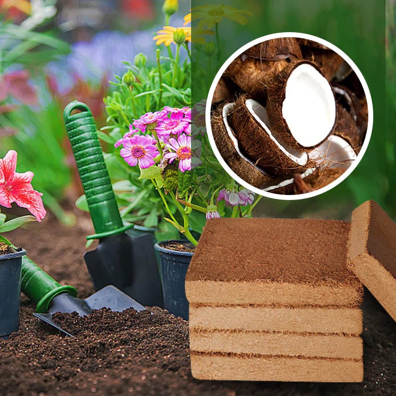 Organic Coconut Coir round disc for Plants