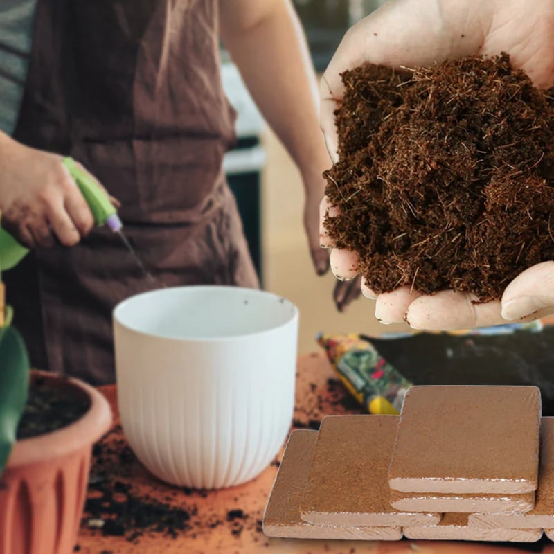 Organic Coconut Coir round disc for Plants