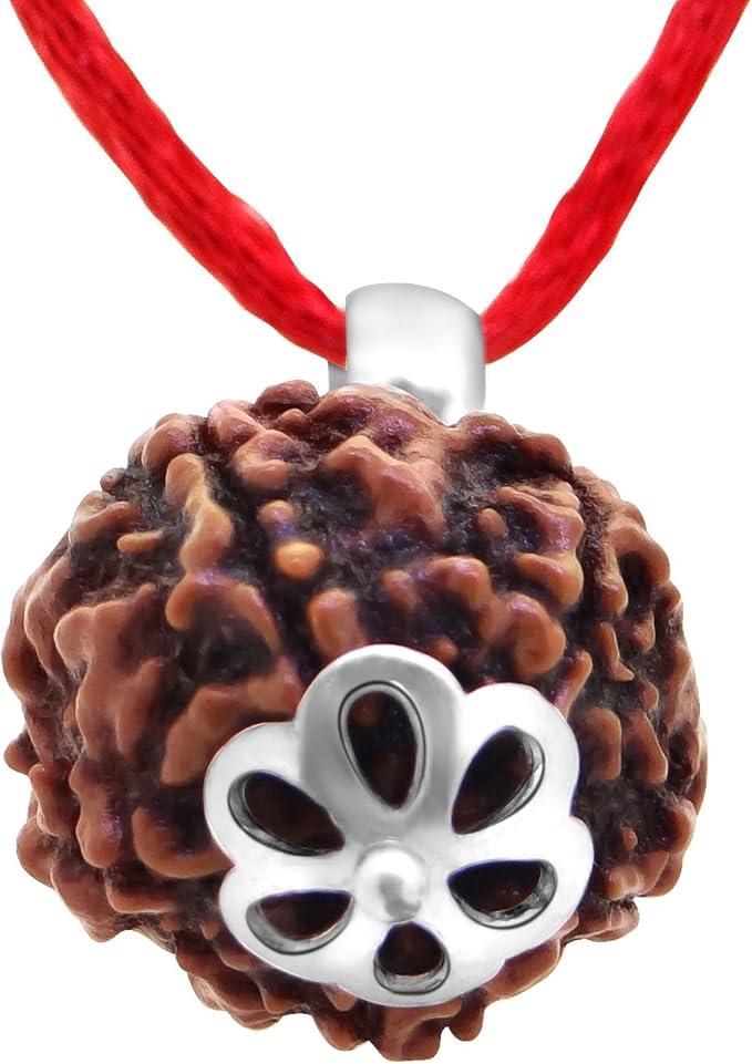 5 Mukhi Rudraksha Bead Original