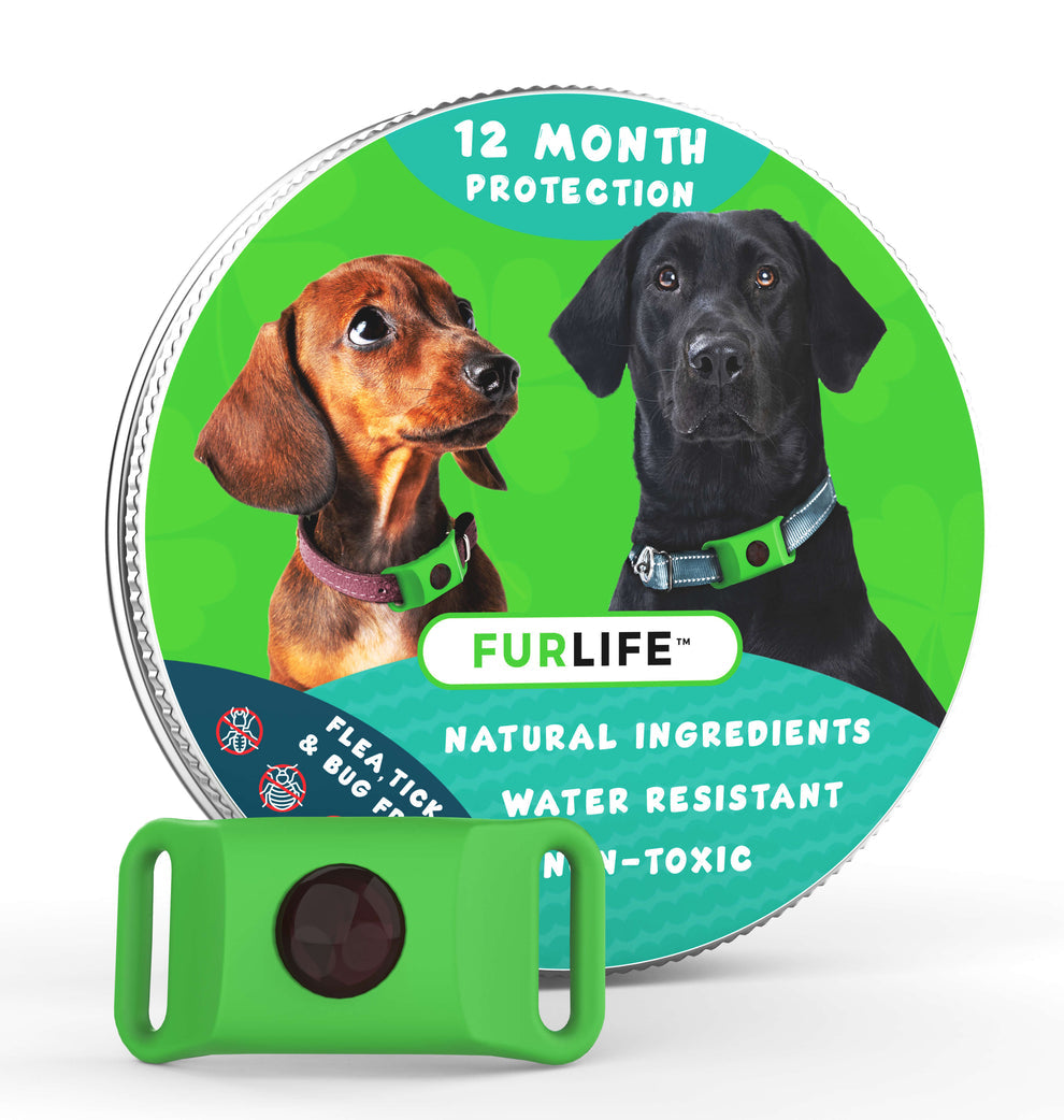 FurLife™ 12 Months Flea and Tick Free | Pet Dog Flea Repellent Collar