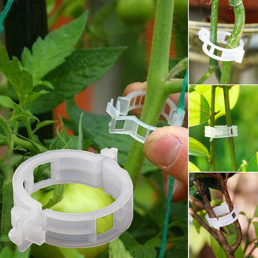 plant support clips