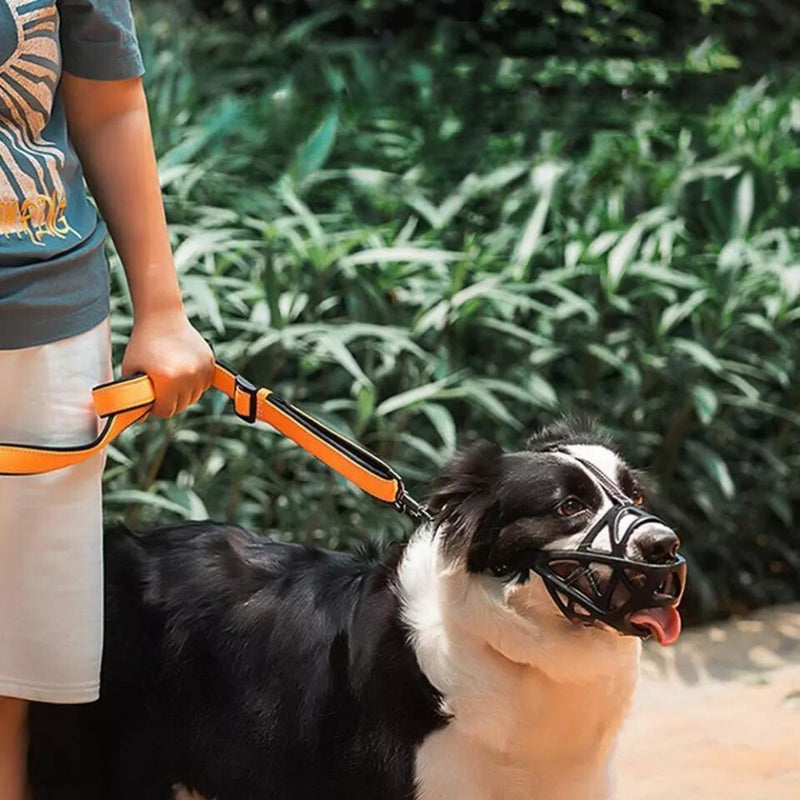 SafeBark Dog Muzzle viva vista