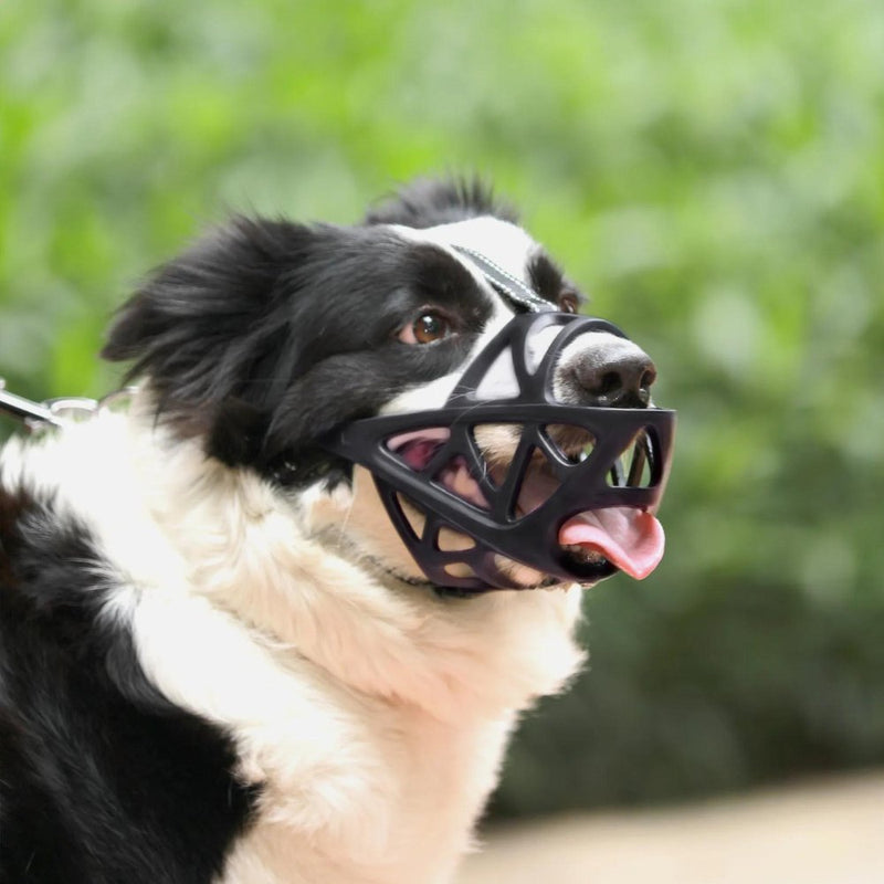 SafeBark Dog Muzzle viva vista