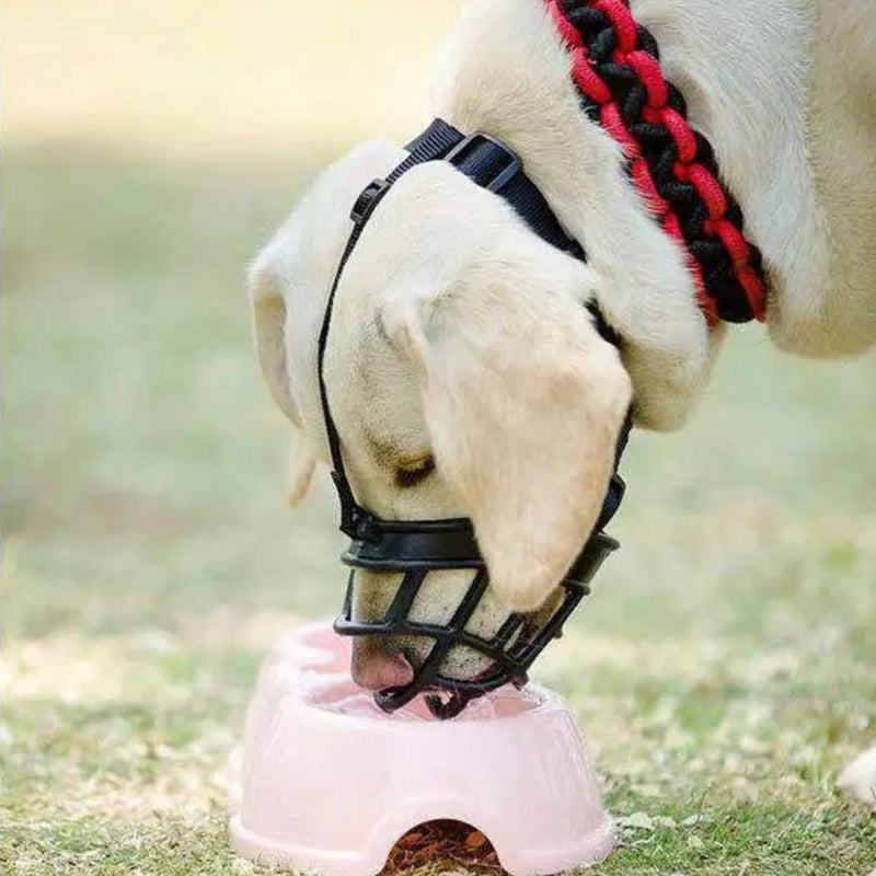 SecureFit  • Dog Muzzle viva vista